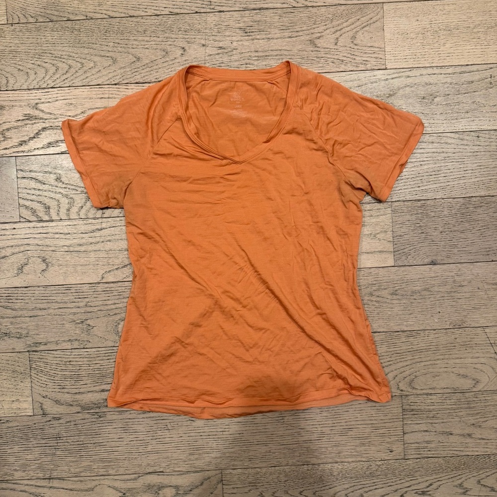 SOLD Woolx Mia V Neck Top